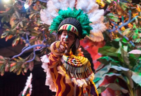Carnival Rio - shallow focus photography of in brown costume