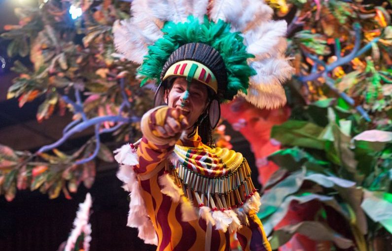 Carnival Rio - shallow focus photography of in brown costume