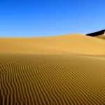 Gobi Desert - dessert during daytime