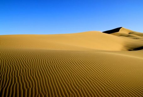 Gobi Desert - dessert during daytime