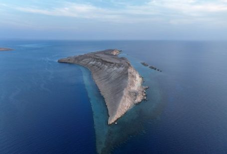 Coral Reef - an island in the middle of the ocean