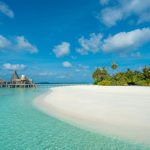 Maldives Beach - green trees near body of water under blue sky during daytime