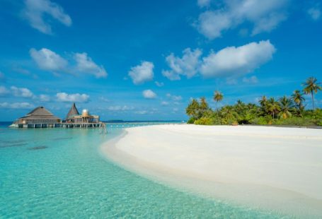 Maldives Beach - green trees near body of water under blue sky during daytime