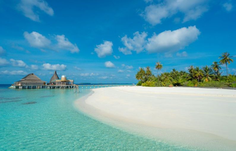 Maldives Beach - green trees near body of water under blue sky during daytime