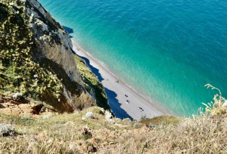 Étretat Cliffs - green grass on brown rocky shore during daytime