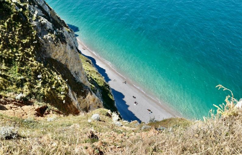 Étretat Cliffs - green grass on brown rocky shore during daytime