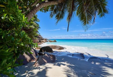 Seychelles Beach - sea waves crashing on shore during daytime