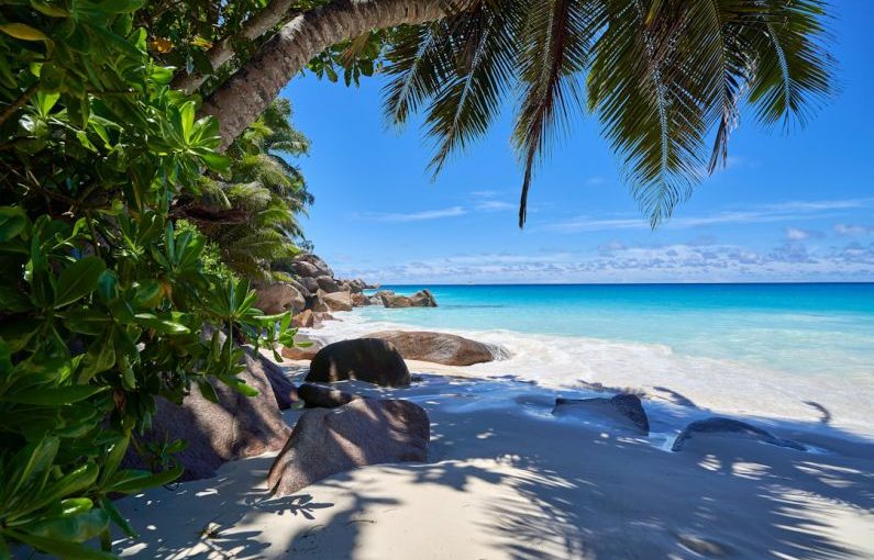 Seychelles Beach - sea waves crashing on shore during daytime