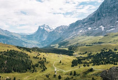 Swiss Alps - mountain filled with trees during daytime