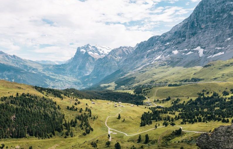 Swiss Alps - mountain filled with trees during daytime
