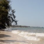 Zanzibar Beach - a sandy beach with waves coming in to shore