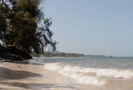 Zanzibar Beach - a sandy beach with waves coming in to shore